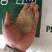 早熟禾4cm以下