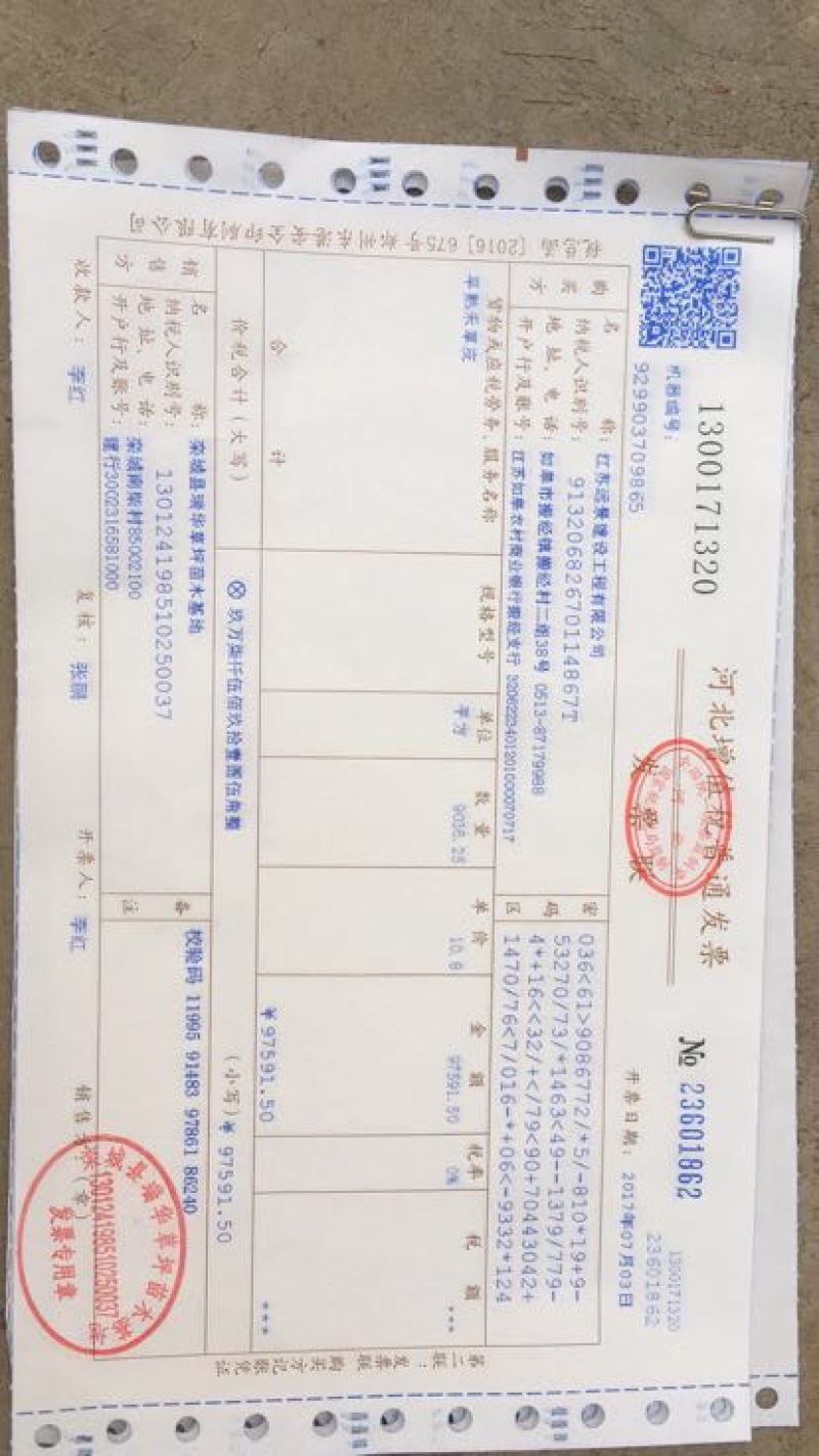 早熟禾4cm以下