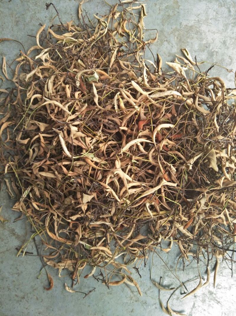 石苇，有跟的，无跟的，价格是不一样的。