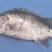 鳜鱼，5两6两7两8两
