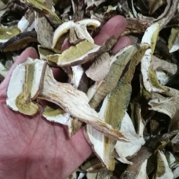 美味牛肝A级片