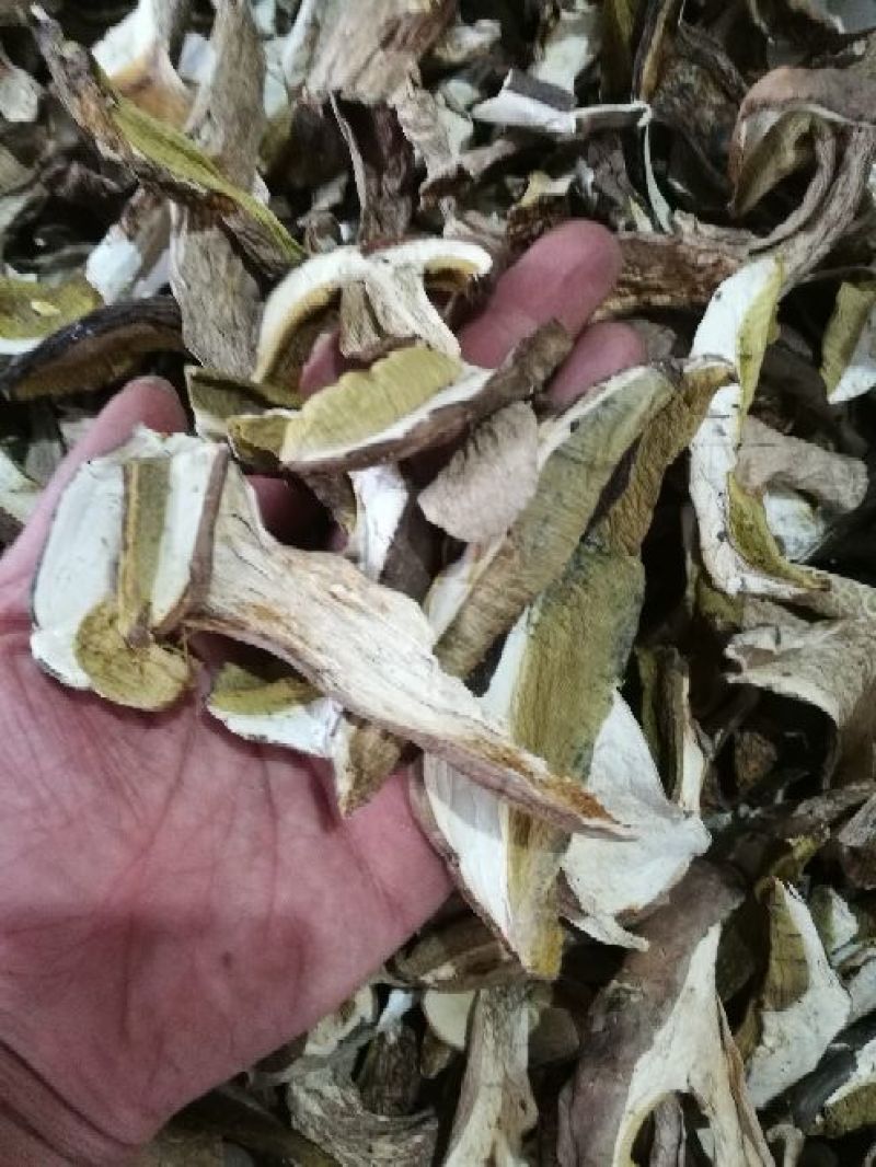 美味牛肝A级片