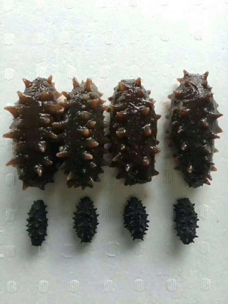 海参食用盐干