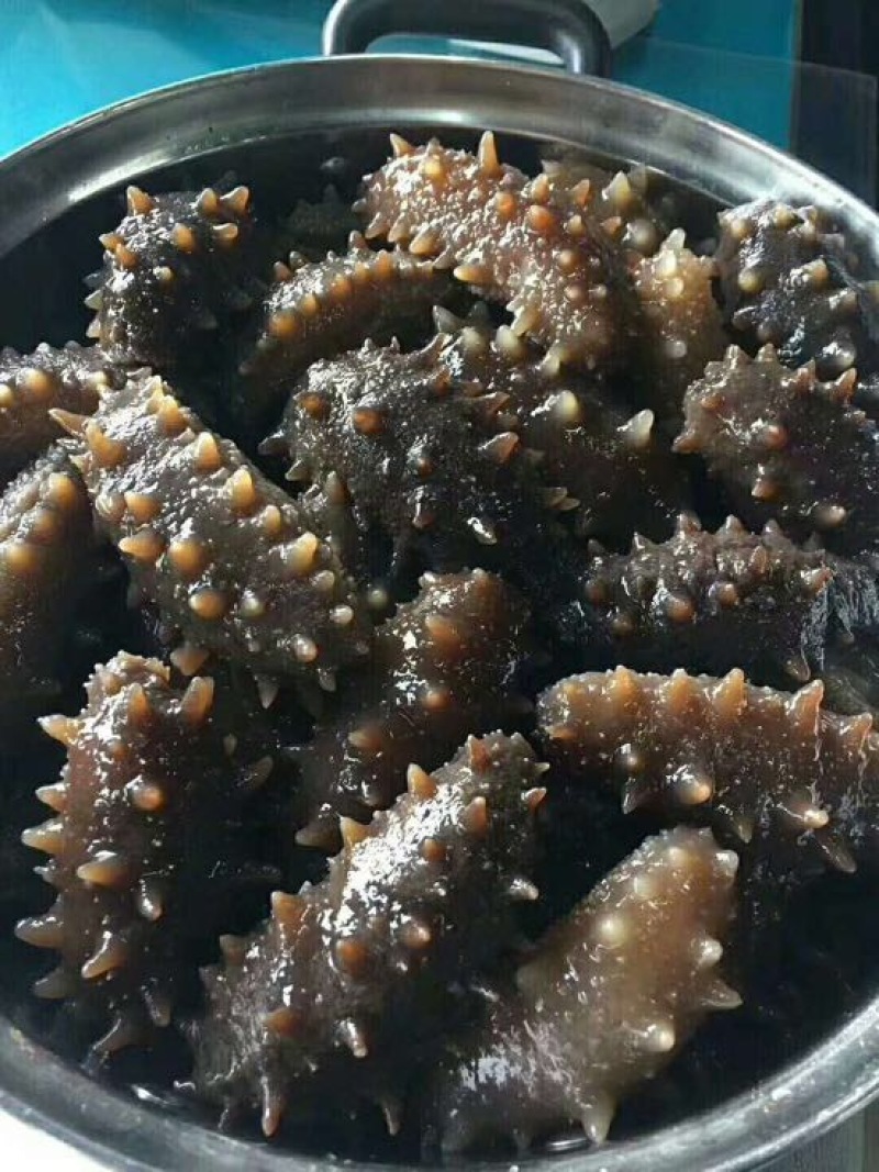海参食用盐干