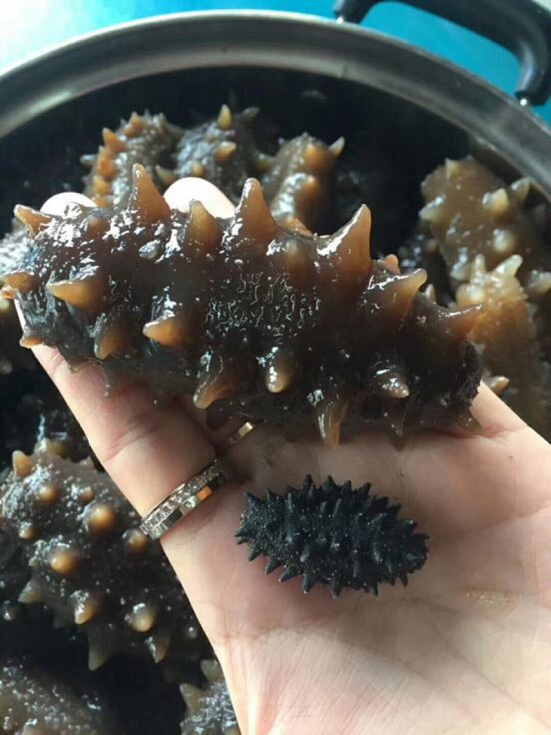 海参食用盐干