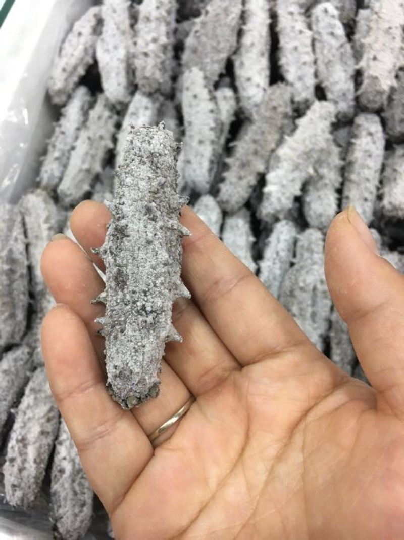 海参食用淡干深海底播海参一件代发