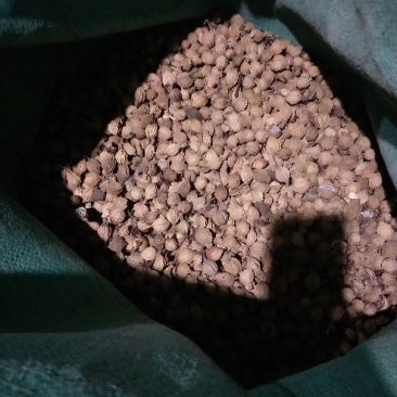 香砂产地一手货源开口少干度足可视频看货，实地看货