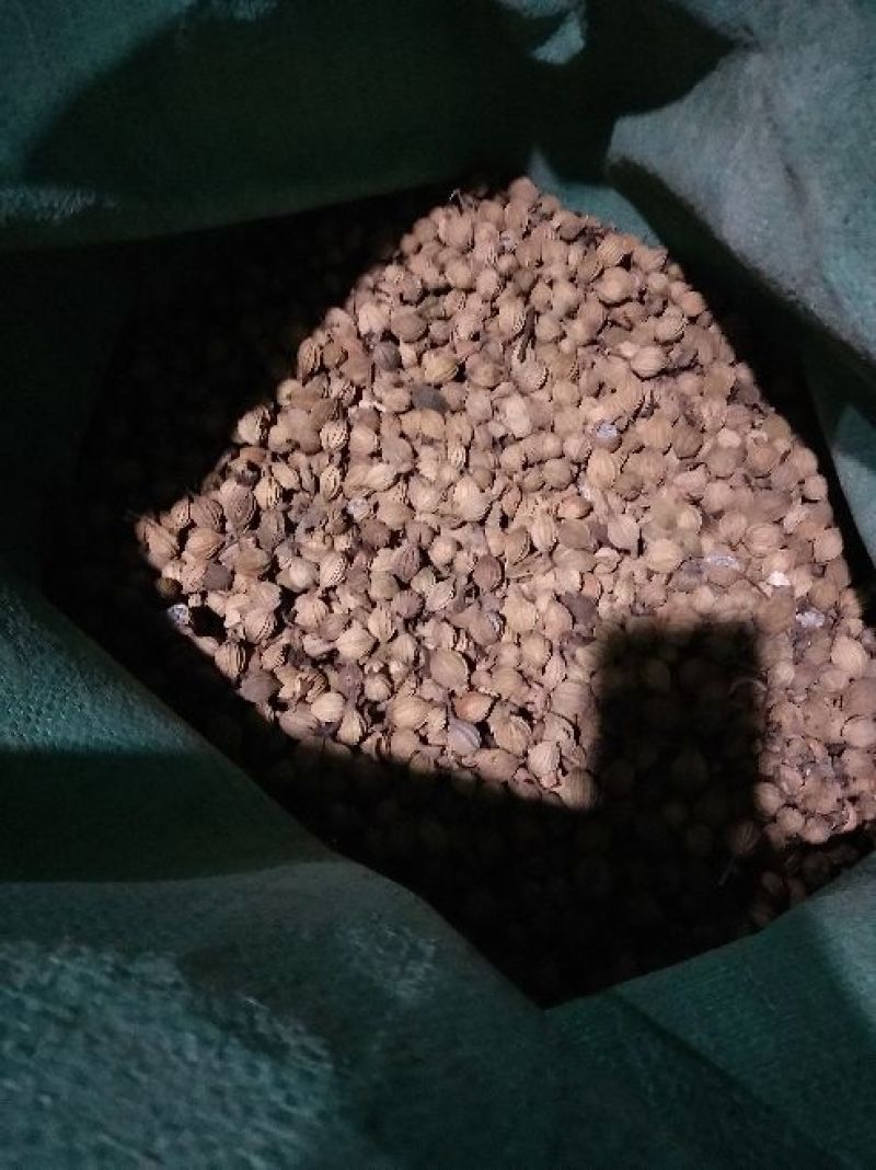 香砂产地一手货源开口少干度足可视频看货，实地看货