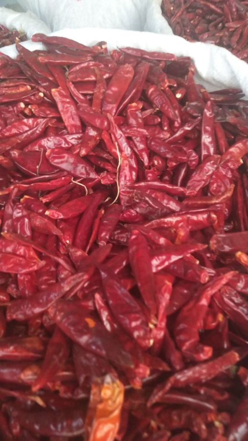辣椒花椒