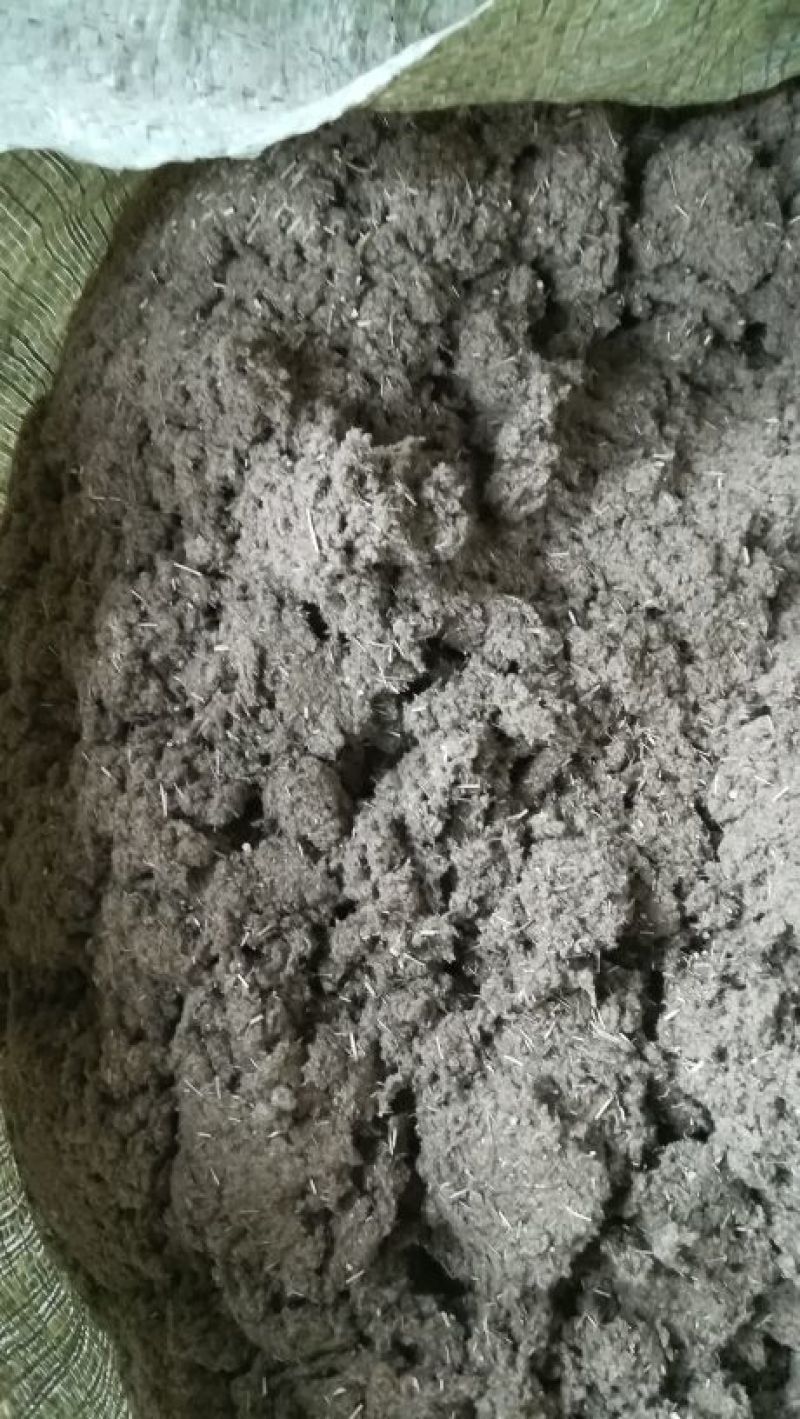 5：1艾绒要的私聊我