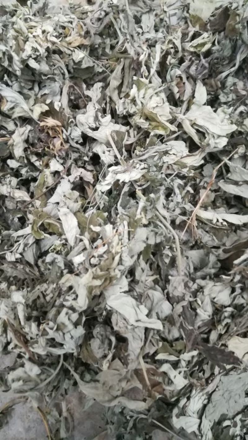 5：1艾绒要的私聊我
