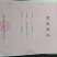 纯绿豆粉皮
