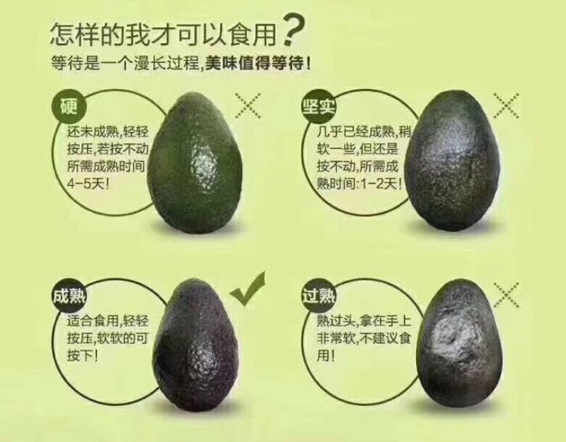 牛油果墨西哥6个装单200g-240g