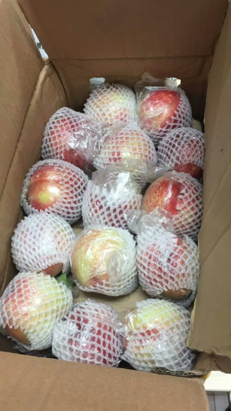 油桃