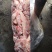冻猪肉冷冻