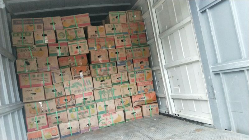 网纹瓜基地直供山东产区