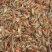 龙虾26~30只/kg