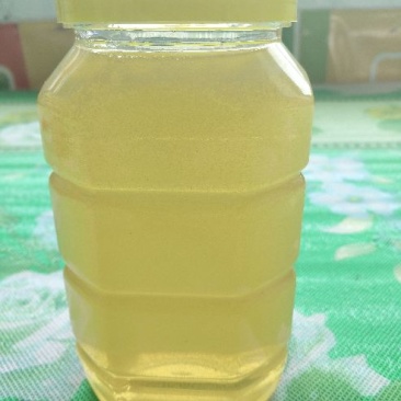 椴树蜜（原始森林椴树林区）