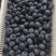 蓝莓冻果10~18mm以上蓝莓冻果