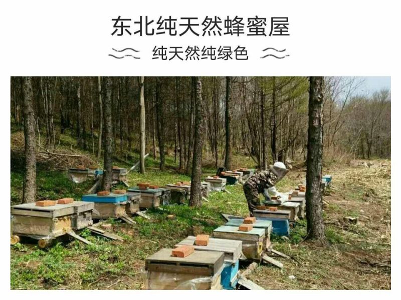 山花蜜（药材蜜）