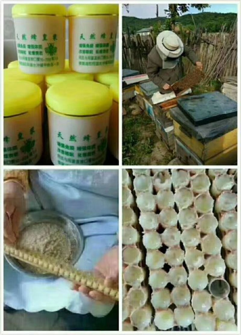蜂王浆（自产自销数量有限）