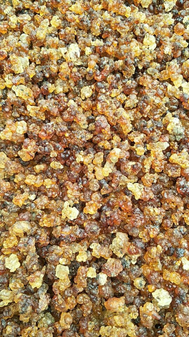 食用桃胶原装颗粒多，原产地货源，批发价，量大可商议