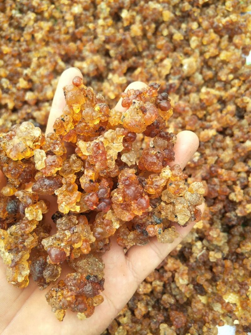 食用桃胶原装颗粒多，原产地货源，批发价，量大可商议