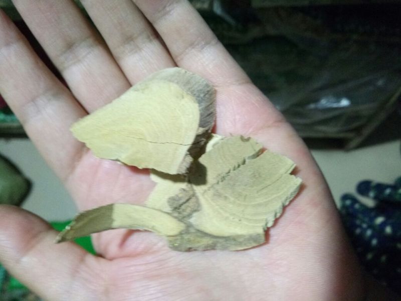 两面针广东干货地下纯根含量高2斤起包邮