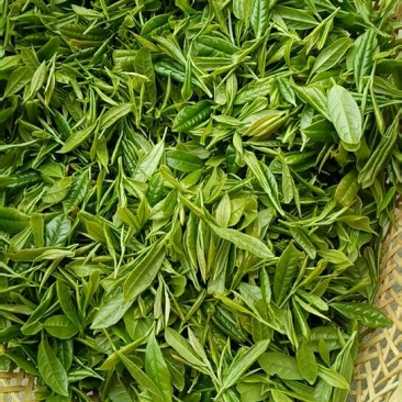 高山绿茶