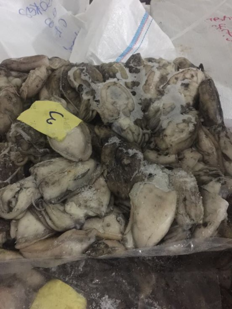墨鱼仔