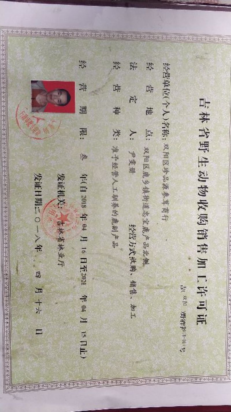鲜鹿茸梅花鹿鲜鹿茸整只切连刀可以选图