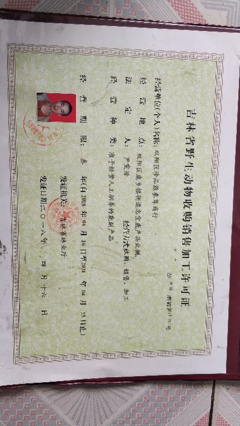 鹿茸鲜鹿茸切片梅花鹿一袋50克