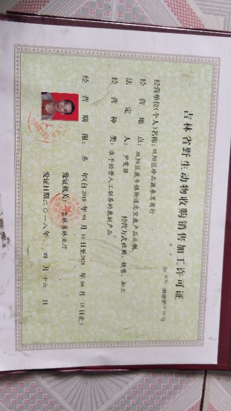 鹿鞭梅花鹿鲜鹿鞭大公鹿鞭
