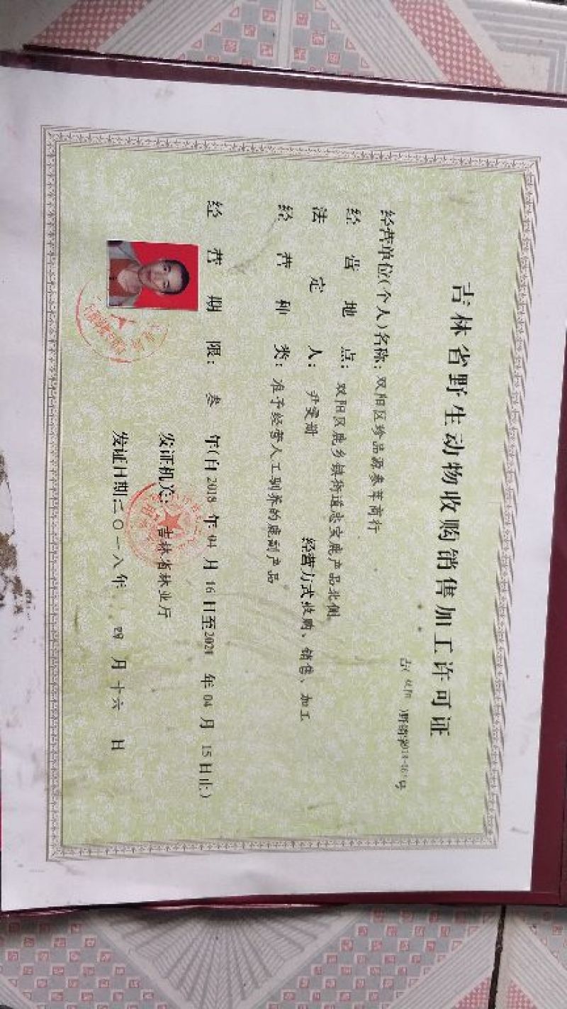 鹿鞭梅花鹿干梅花鹿鞭100克以上