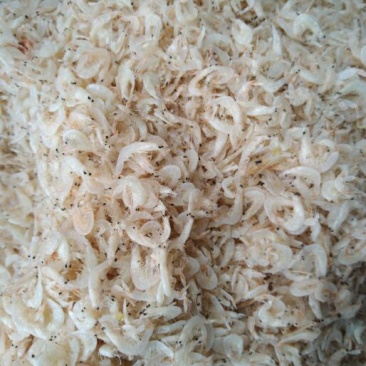 渤海湾优质特产，补钙神器……虾皮