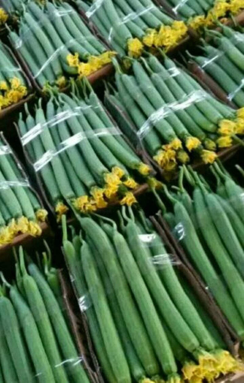 精品鲜花丝瓜