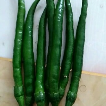 各种品种辣椒，超甜水果玉米