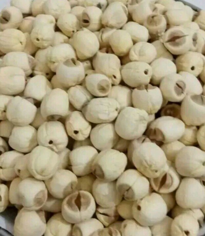 一级通芯白莲