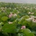 莲子芯