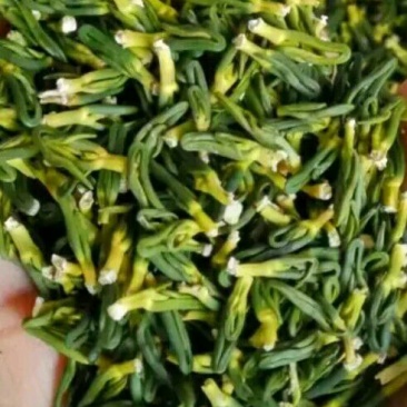 莲子芯