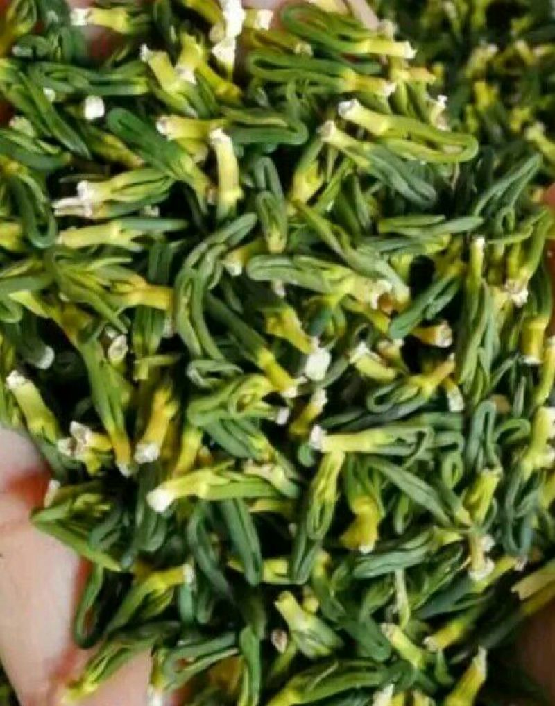 莲子芯