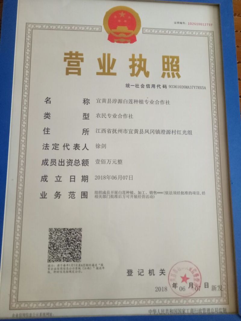 莲子芯