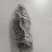 出售野生黄精