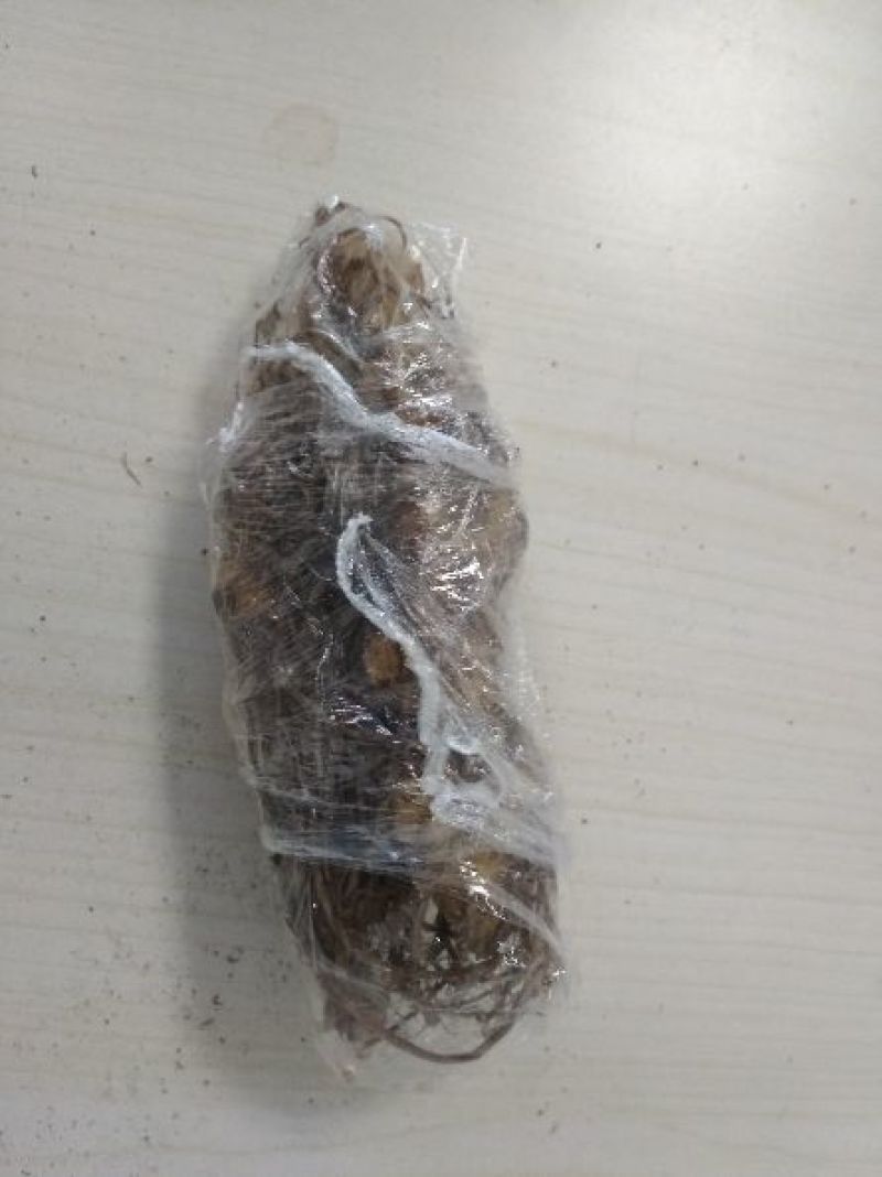 出售野生黄精
