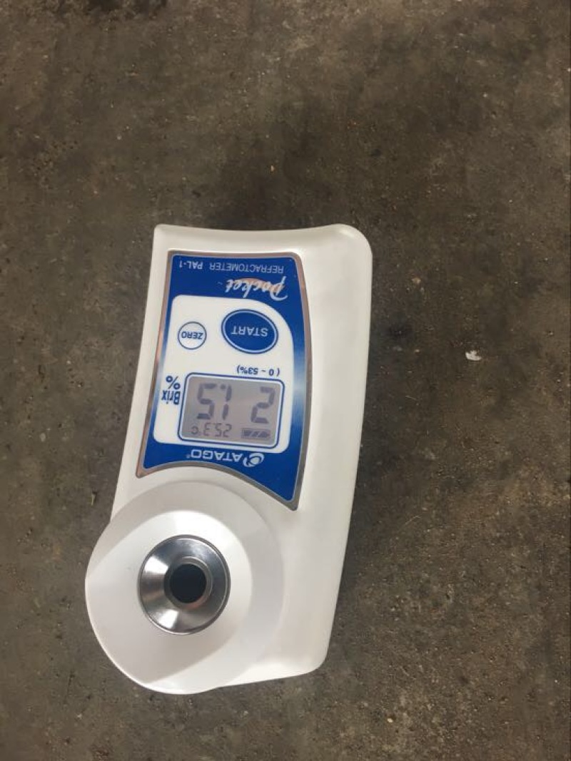 德宏州芒市凤梨2.5斤生态农业大面积种植基地，