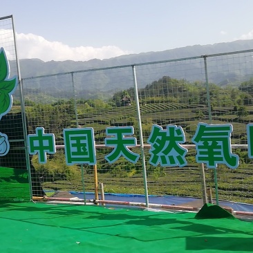 蕨根粉丝