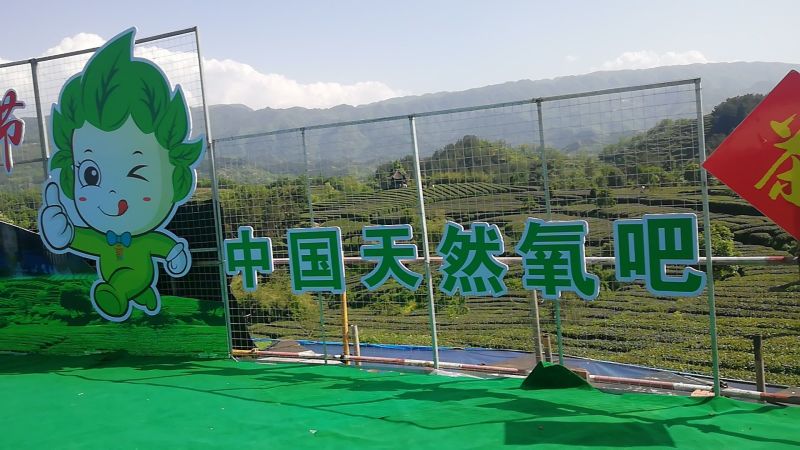 蕨根粉丝