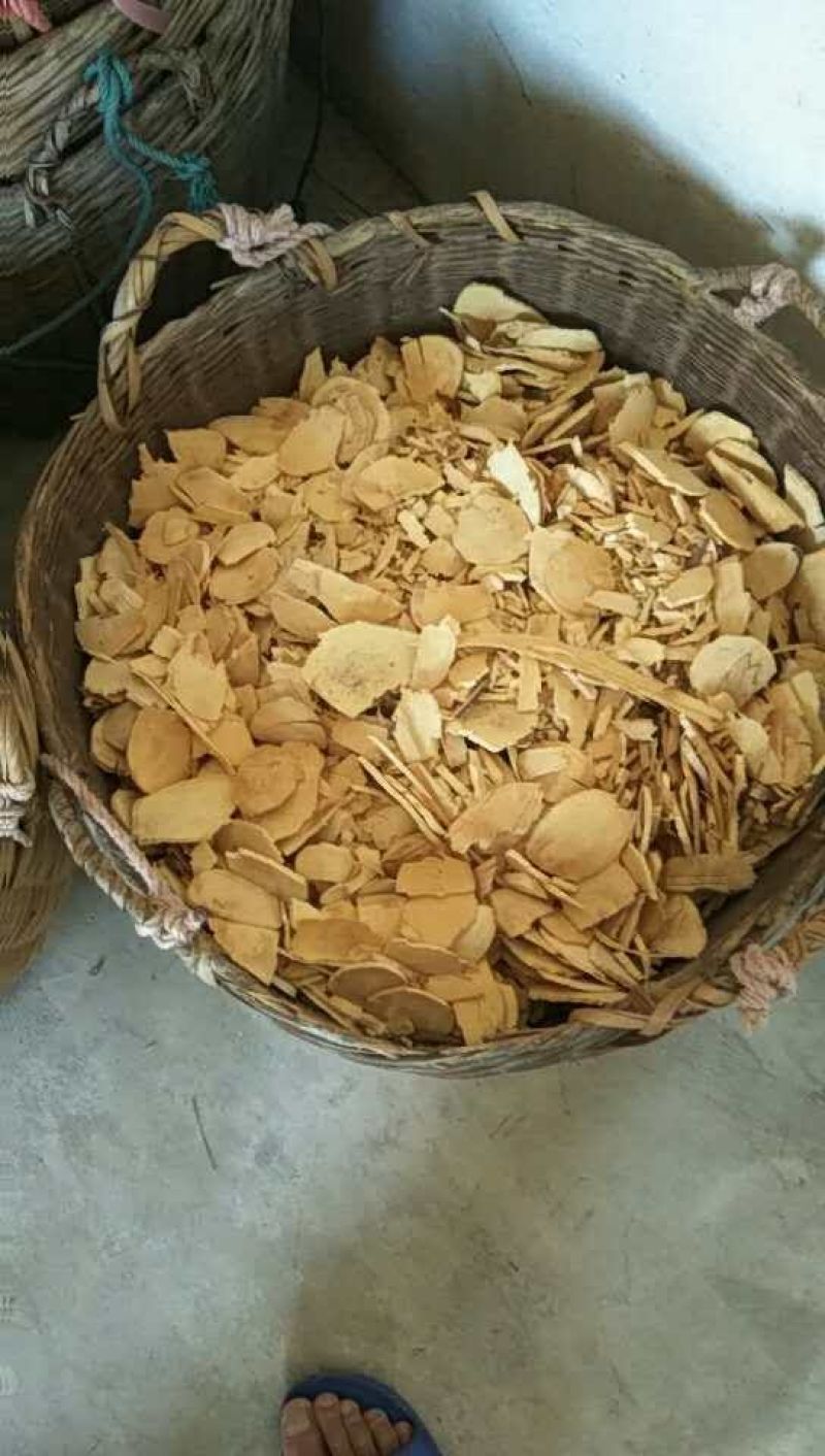 三叉苦切片