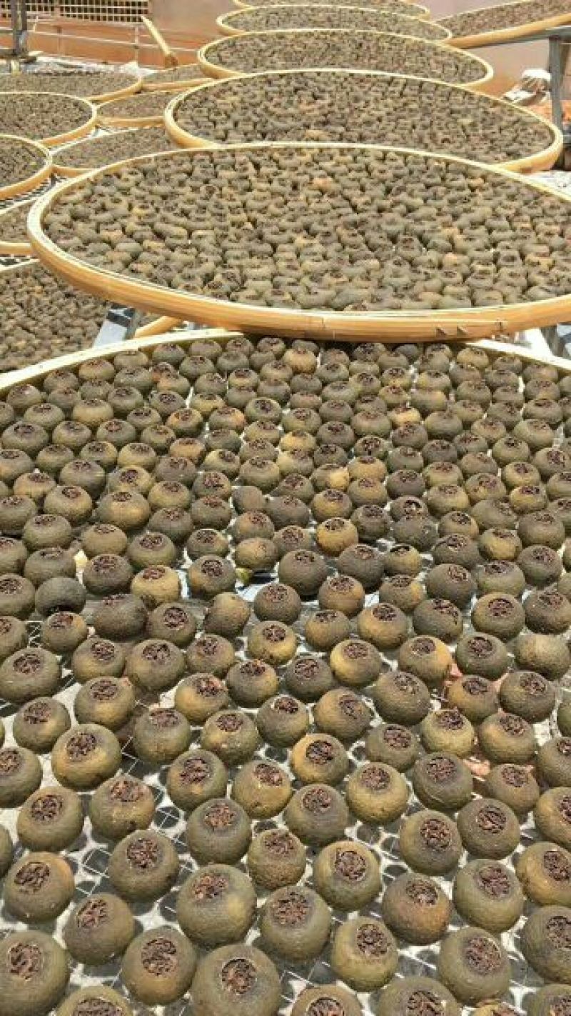 小青柑普洱茶