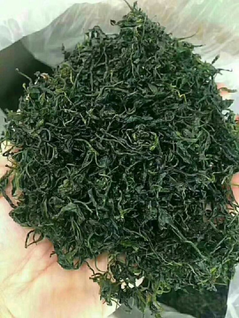 青山绿水、苦丁茶/金骏眉/茉莉花茶